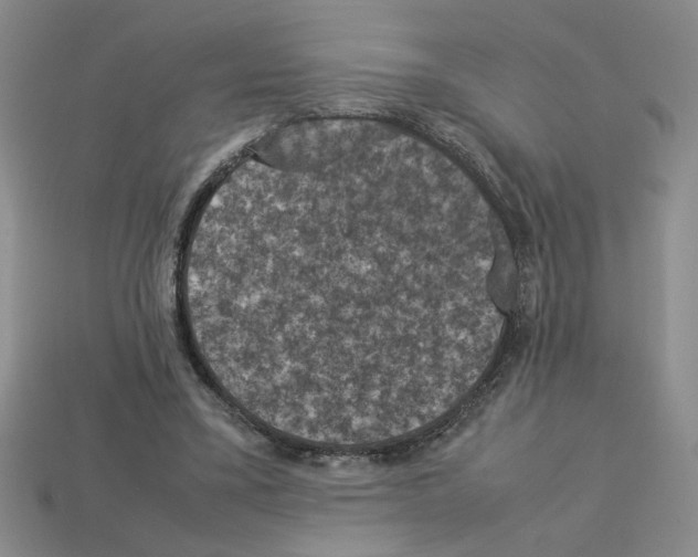 X0000112850395200910021255