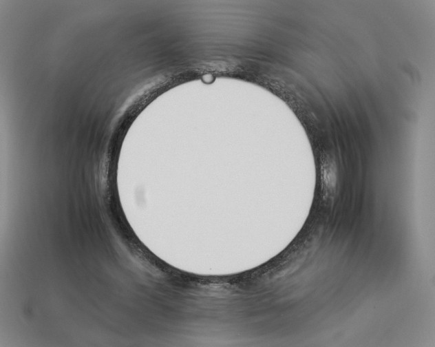 X0000112850396200910021255