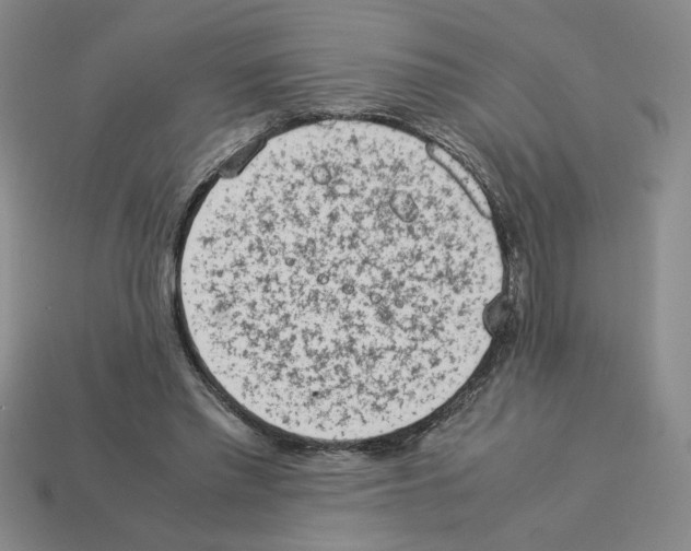 X0000112850397200910021255