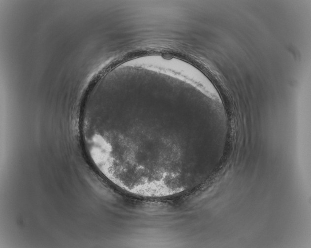 X0000112850399200910021255