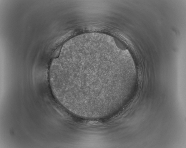 X0000112850401200910021255