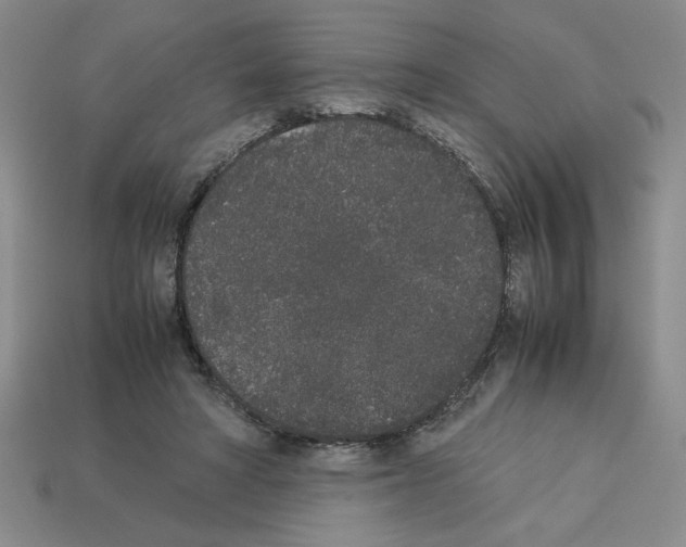 X0000112850402200910021255