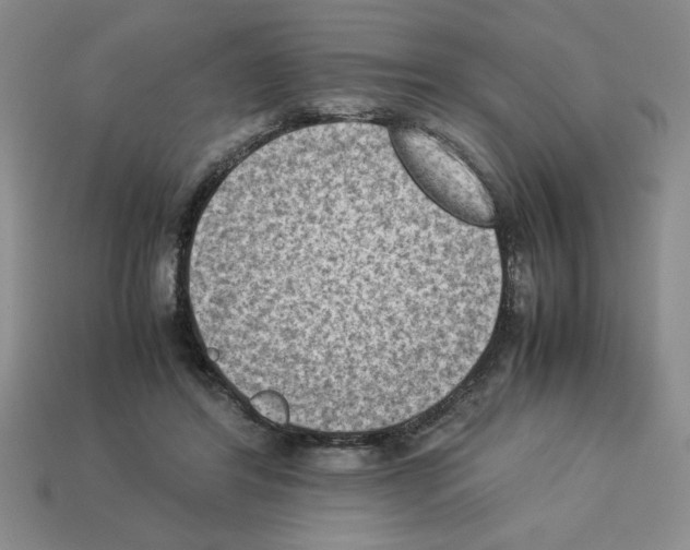 X0000112850404200910021255