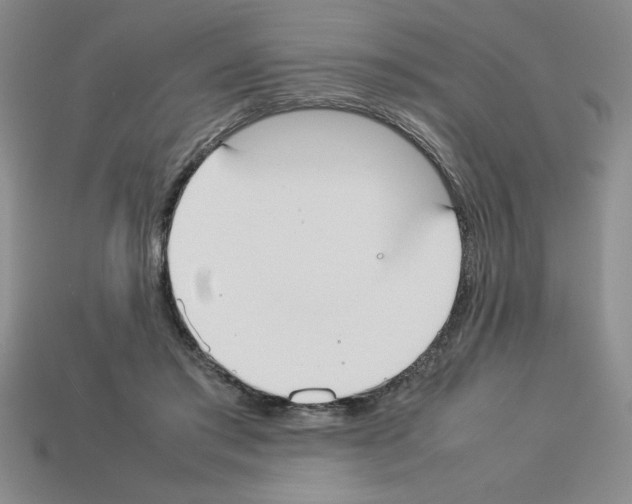 X0000112850405200910021255