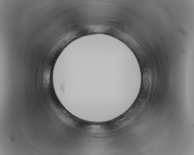 X0000112850406200910021255