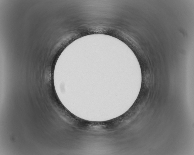 X0000112850407200910021255