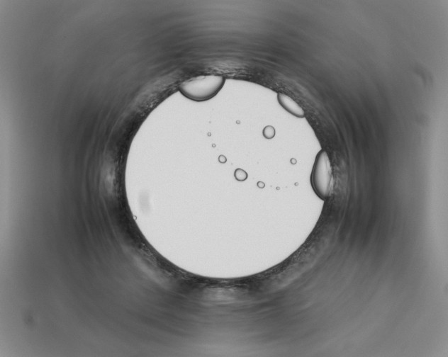 X0000112850408200910021255