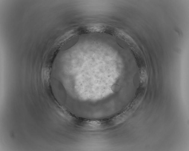 X0000112850409200910021255