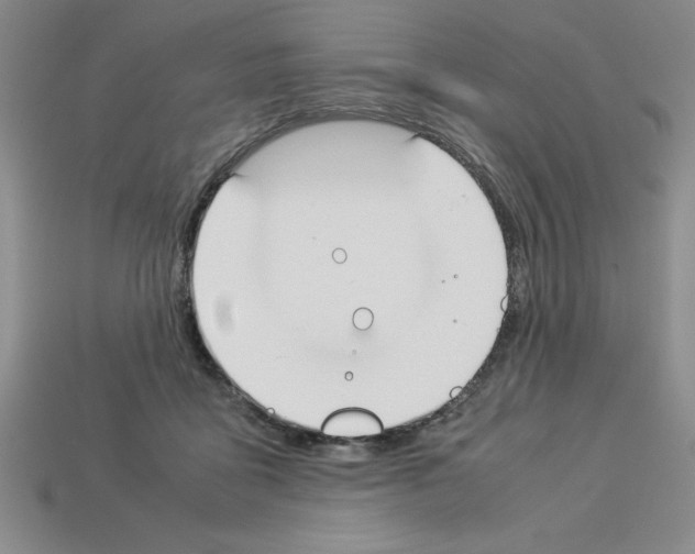 X0000112850411200910021255