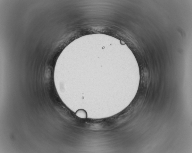 X0000112850412200910021255