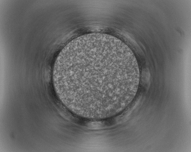 X0000112850413200910021255