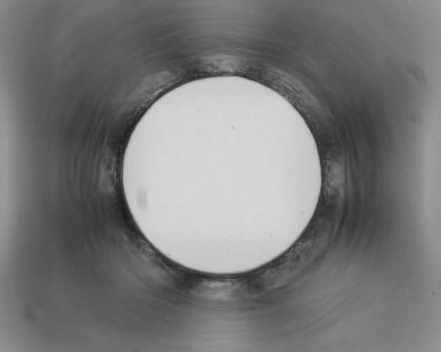 X0000112850414200910021255