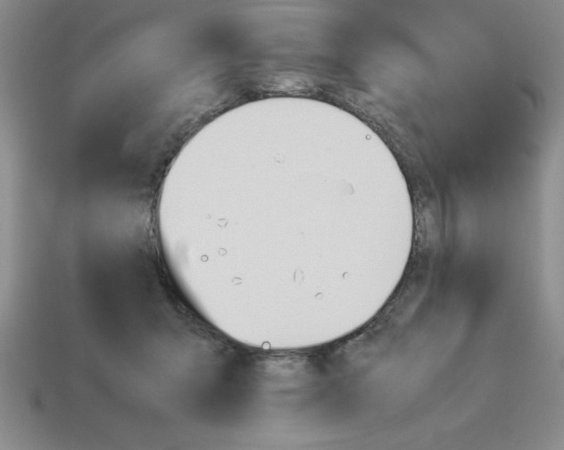 X0000112850415200910021255