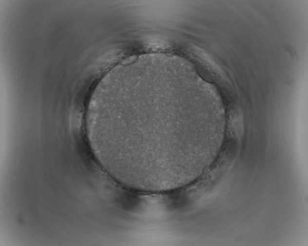 X0000112850417200910021255