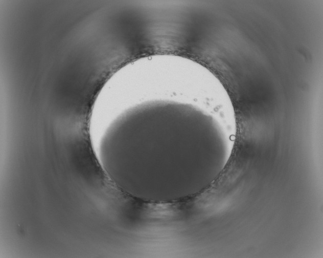 X0000112850419200910021255