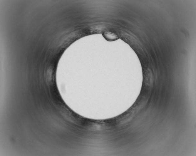 X0000112850420200910021255