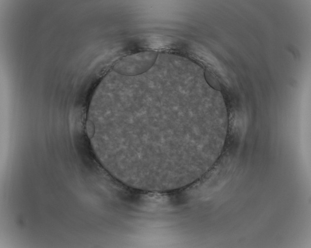 X0000112850421200910021255