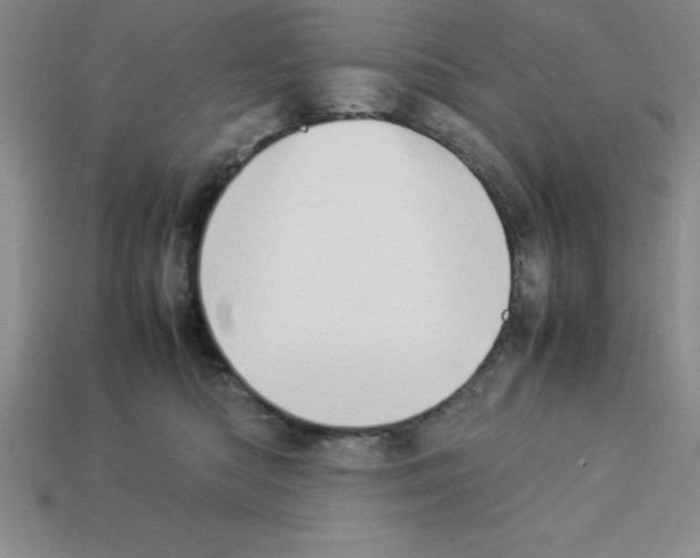 X0000112850422200910021255