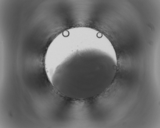 X0000112850423200910021255