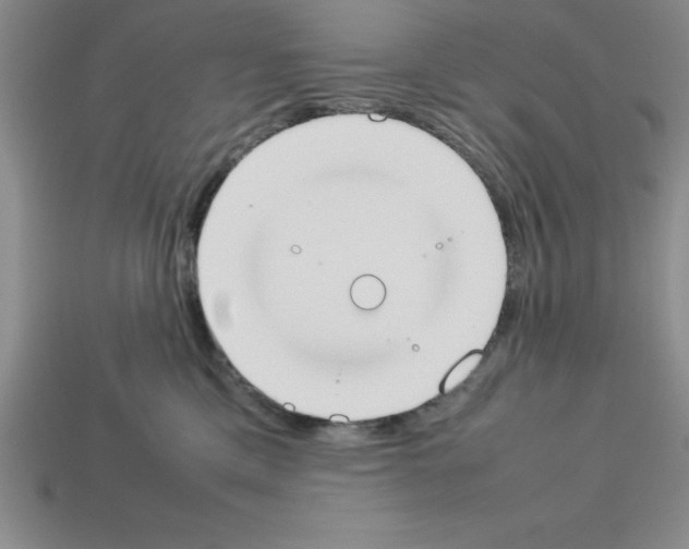 X0000112850425200910021255