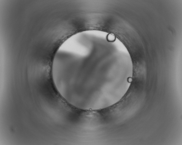 X0000112850427200910021255