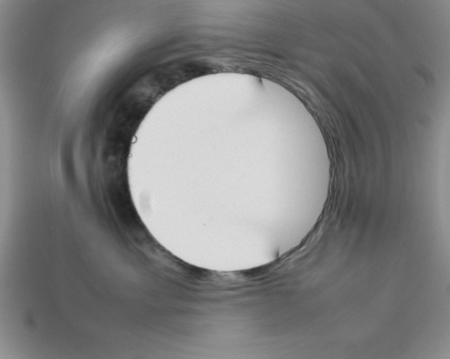 X0000112850429200910021255