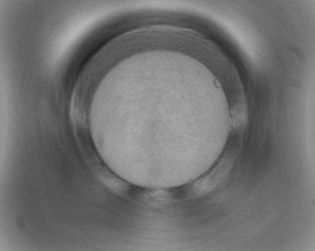 X0000112850431200910021255