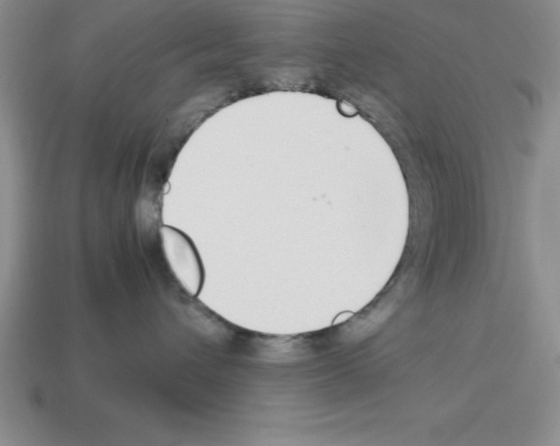 X0000112850432200910021255