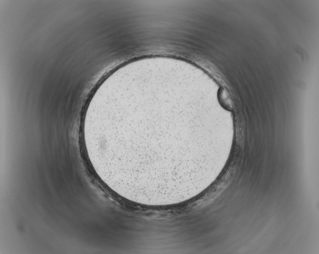 X0000112850434200910021254