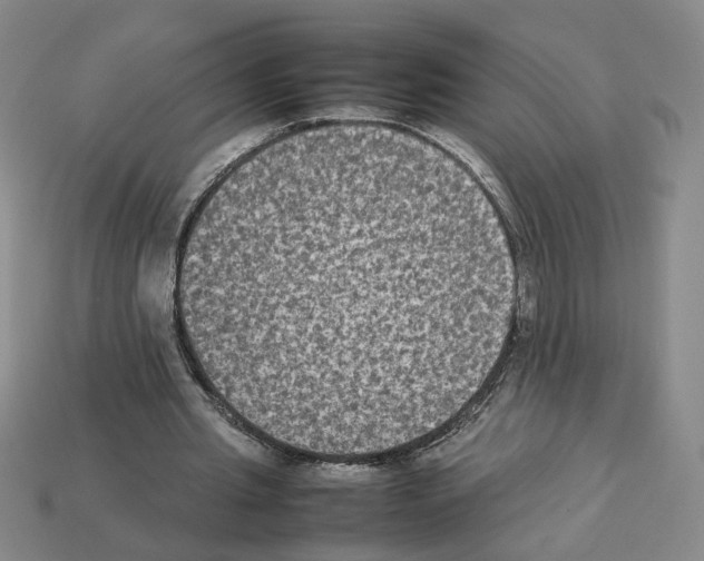 X0000112850437200910021254