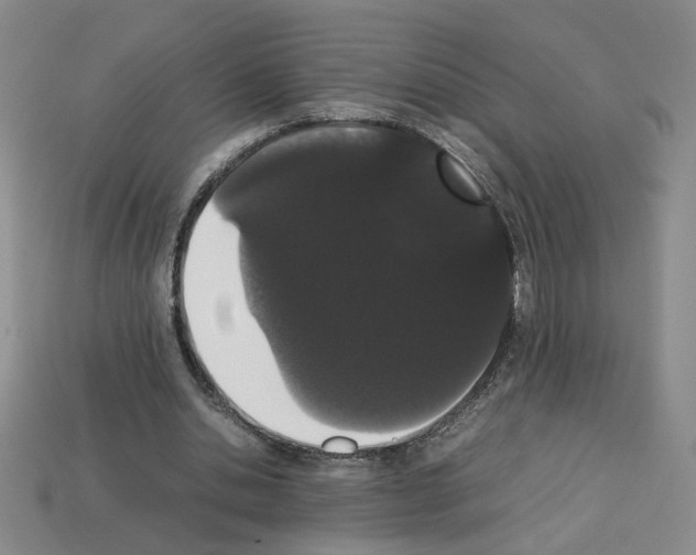 X0000112850438200910021254