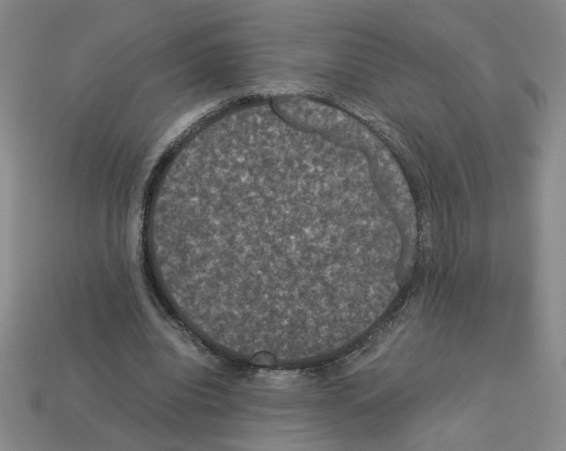 X0000112850440200910021254