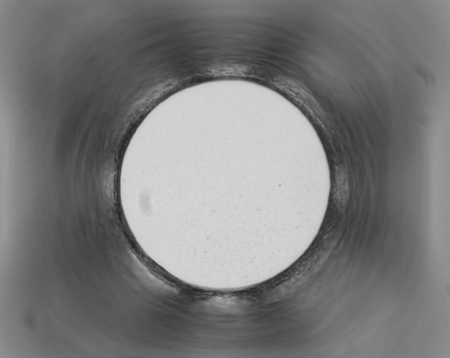 X0000112850441200910021254