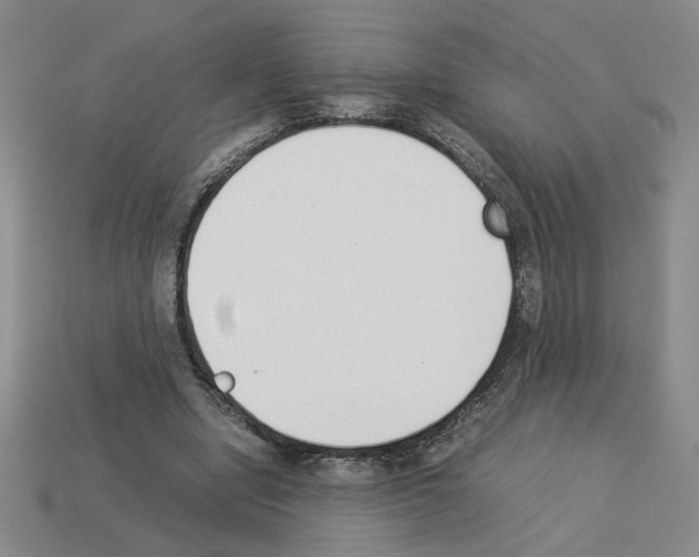 X0000112850442200910021254