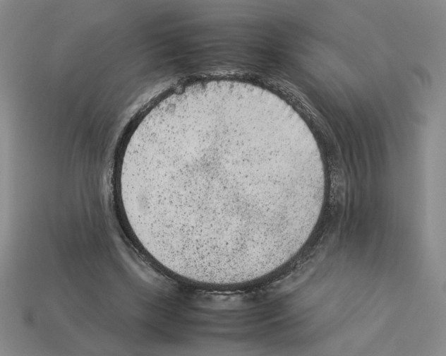 X0000112850443200910021254