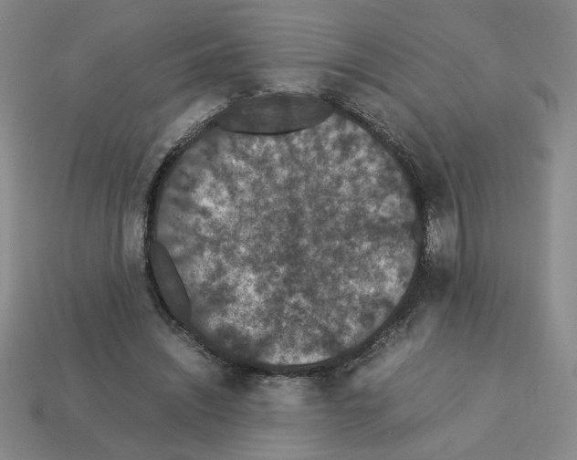 X0000112850444200910021254