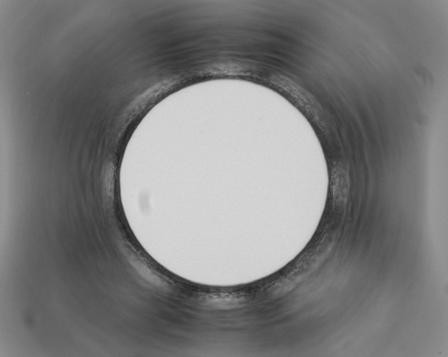 X0000112850445200910021254