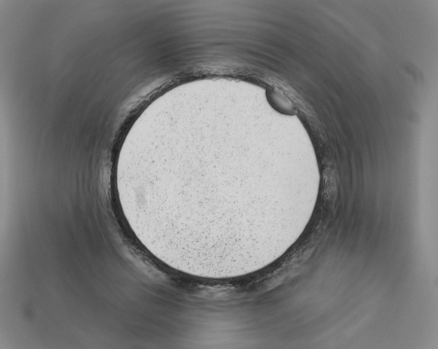 X0000112850446200910021254