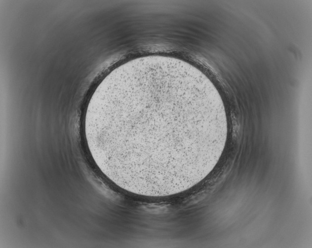 X0000112850447200910021254