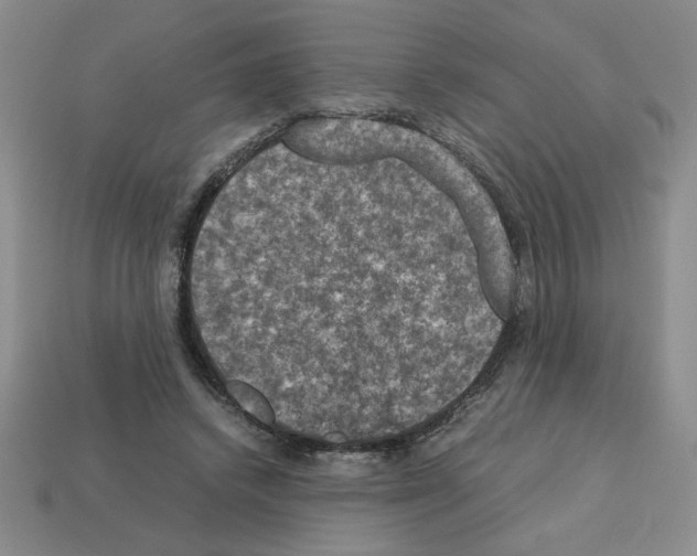 X0000112850448200910021254