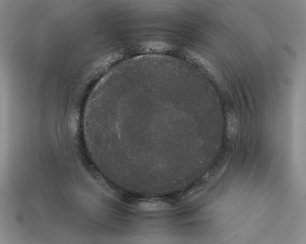 X0000112850451200910021254