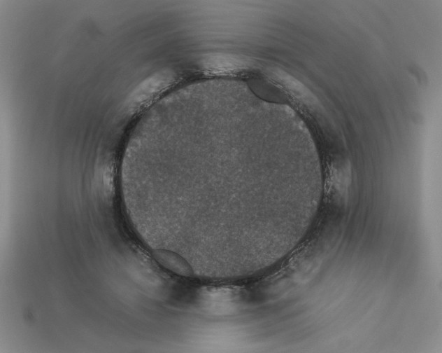 X0000112850452200910021254