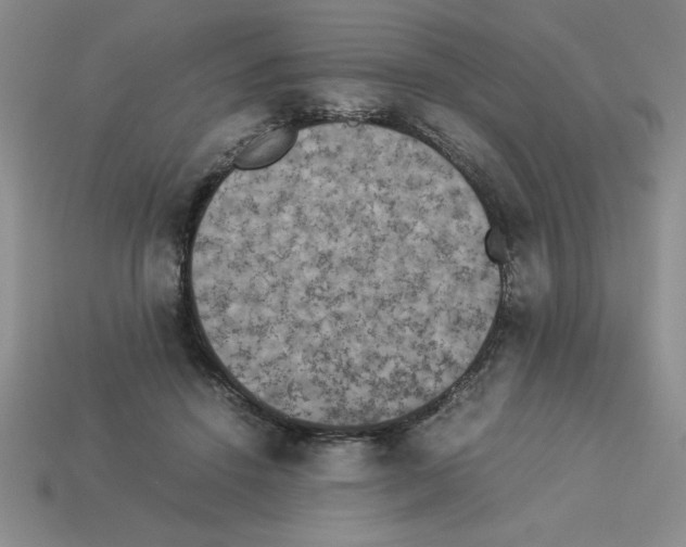 X0000112850456200910021254