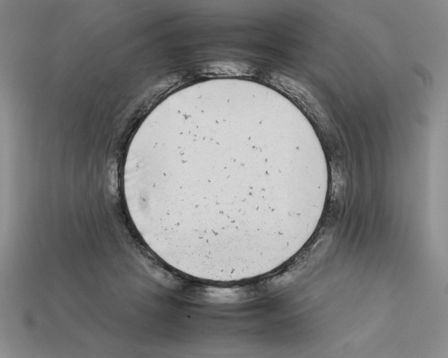 X0000112850457200910021254