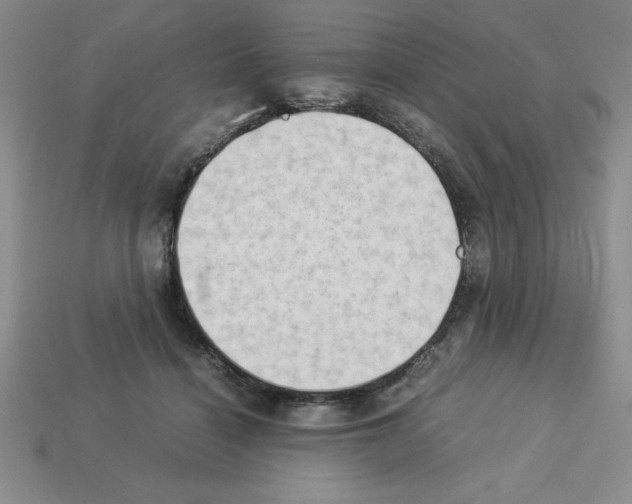 X0000112850460200910021254