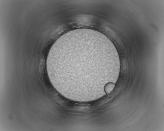 X0000112850463200910021255