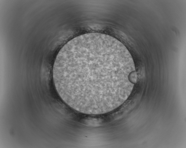 X0000112850464200910021255