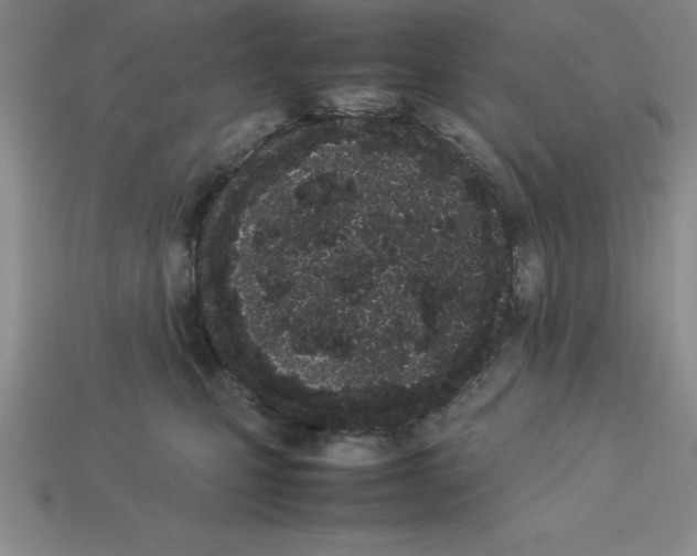 X0000112850471200910021255