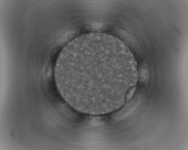 X0000112850472200910021255