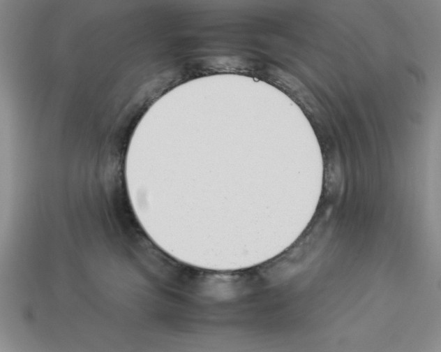 X0000112850473200910021255